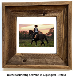 horseback riding near me in Algonquin, Illinois